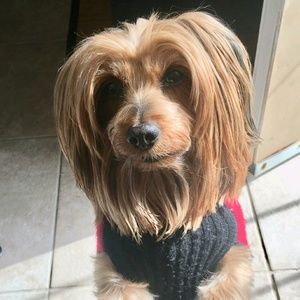 Meet your Posher, Roberta